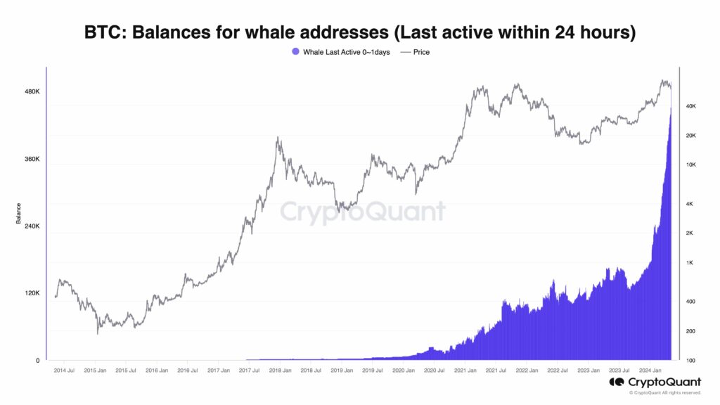 מאזן ארנקי לוויתנים, מקור - CryptoQuant 